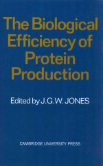 The Biological Efficiency of Protein Production