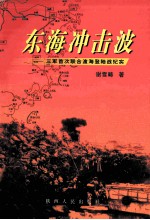 东海冲击波  三军首次联合渡海登陆战纪实