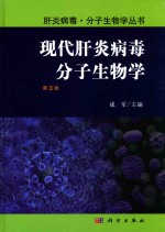 肝炎病毒·分子生物学丛书  现代肝炎病毒分子生物学