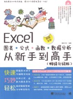 Excel图表·公式·函数·数据分析从新手到高手  畅销升级版