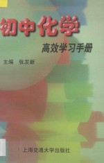 初中化学高效学习手册