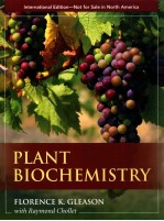 Plant Biochemistry