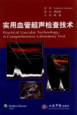 实用血管超声检查技术