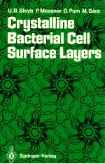 crystalline bacterial cell surface layers