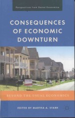 CONSEQUENCES OF ECONOMIC DOWNTURN:BEYOND THE USUAL ECONOMICS