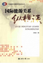 中国国际问题研究基金会丛书  国际能源关系纵横谈