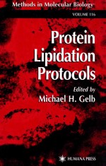 Protein lipidation protocols