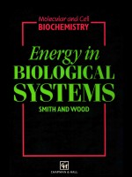 Energy in biological systems