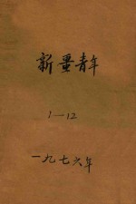 新疆青年  1-12  上