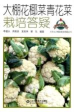 大棚花椰菜青花菜栽培答疑