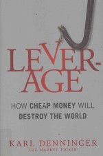 LEVERGE:HOW CHEAP MONEY WILL DESTROY THE WORLD