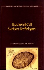 Bacterial cell surface techniques