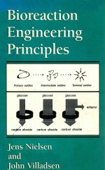 Bioreaction Engineering Principles