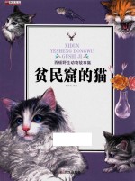 贫民窟的猫