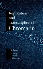 Replication and transcription of chromatin