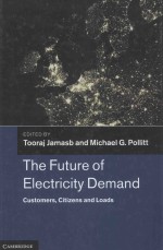 THE FUTURE OF ELECTRICITY DEMAND:CUSTOMERS