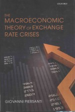 THE MACROECONOMIC THEORY OF EXCHANGE RATE CRISES