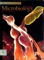 Laboratory exercises in microbiology third edition