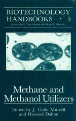 Methane and methanol utilizers