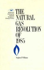 The natural gas revolution of 1985