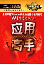 WINDOWS应用高手