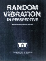 RANDOM VIBRATION IN PERSPECTIVE