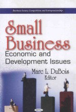 SMALL BUSINESS:ECONOMIC AND DEVELOPMENT ISSUES