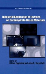 Industrial Application of Enzymes on Carbohydrate Based Materials