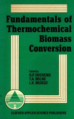 Fundamentals of thermochemical biomass conversion