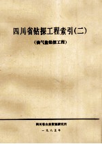 四川省钻探工程索引  2  油气盐钻探工程