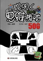 聪明人最爱的图形思维游戏500个