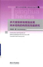 多尺度级联场增强金属纳米结构的构筑和性能研究