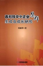 高科技中小企业集群生成及成长研究