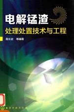 电解锰渣处理处置技术与工程