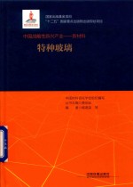 中国战略性新兴产业  新材料  特种玻璃