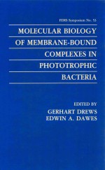 Molecular Biology of Membrane-Bound Complexes in Phototrophic Bacteria