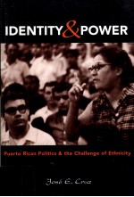 IDENTITY AND POWER:PUERTO RICAN POLITICS AND THE CHALLENGE OF ETHNICITY