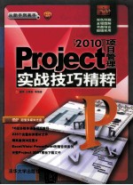 Project 2010项目管理  实战技巧精粹  从新手到高手