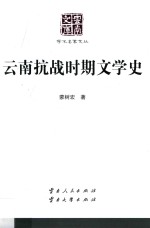 云南抗战时期文学史