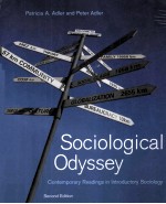 SOCIOLOGICAL ODYSSEY:CONTEMPORARY READINGS IN INTRODUCTORY SOCIOLOGY SECOND EDITION