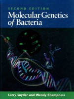 Molecular genetics of bacteria second edition