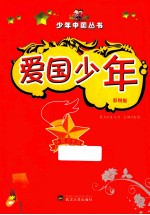 爱国少年  彩图版