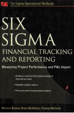 SIX SIGMA FINANCIAL TRACKING AND REPORTING