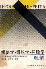 解剖学  组织学  胚胎学  题解