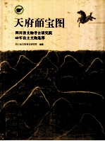 天府皕宝图  四川省文物考古研究院60年出土文物精粹