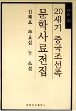 20世纪中国朝鲜族文学史料全集  第6辑  朝鲜文