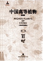 中国高等植物  修订版  第11卷