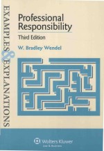 PROFESSIONAL RESPONSIBILITY  THIRD EDITION