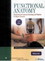 FUNCTIONAL ANATOMY MUSCULOSKELETAL ANATOMY.KINESIOLOGY