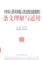 中华人民共和国人民法院法庭规则  条文理解与适用